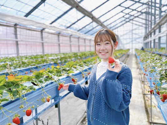 みなかみフルーツランド モギトーレ