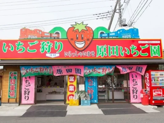 原田いちご園