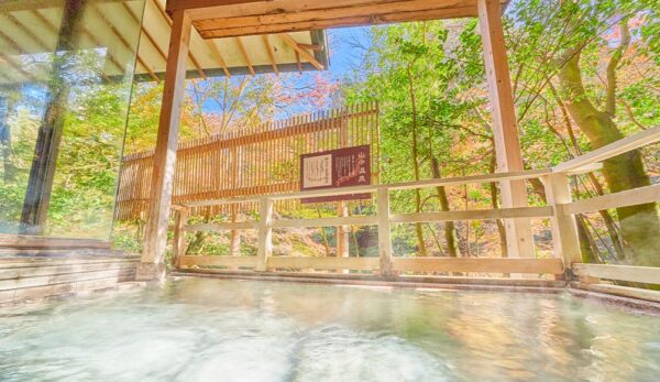 大江戸温泉物語Premium よしのや依緑園