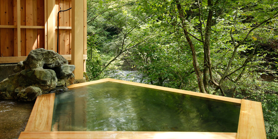山中温泉 花つばき