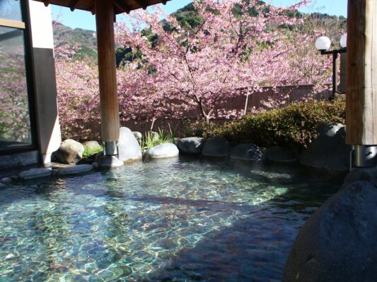踊り子温泉会館