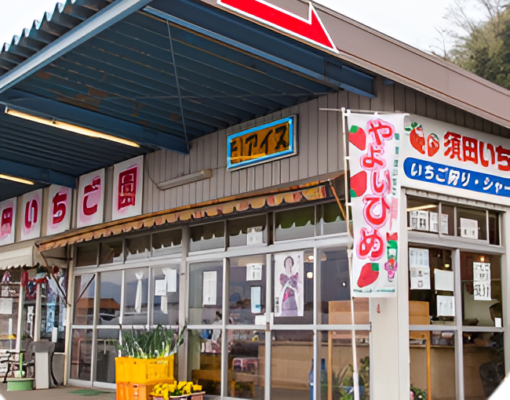 須田いちご園