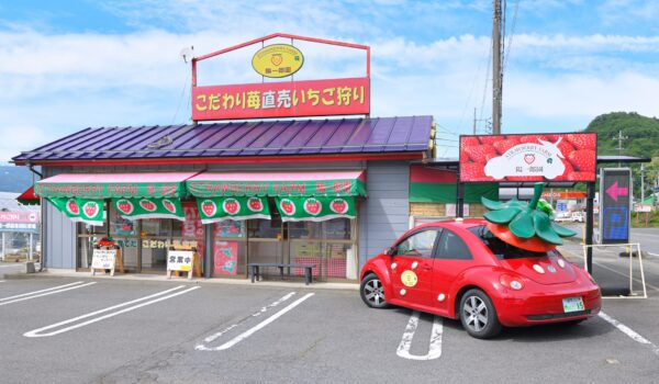 STRAWBERRY FARM 陽一郎園