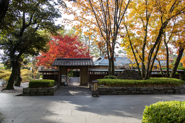 岡崎公園