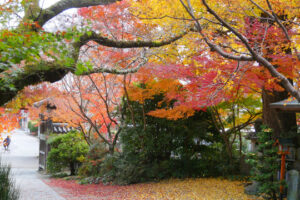 瑞巌寺