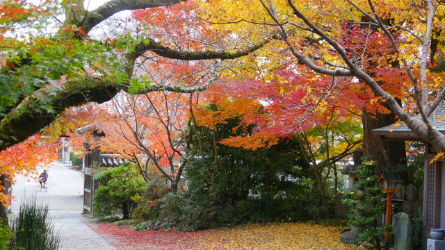 瑞巌寺