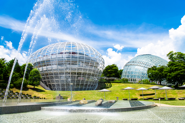 山梨県笛吹川フルーツ公園