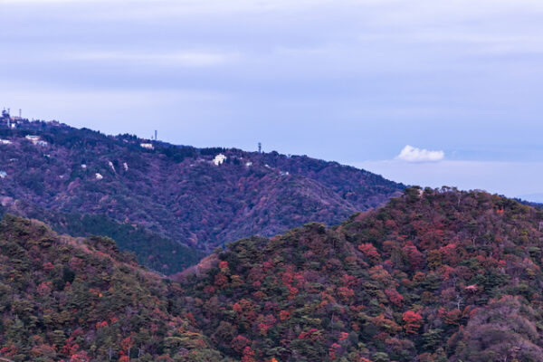 摩耶山掬星台　紅葉