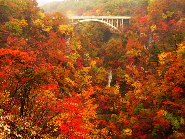 鳴子峡 紅葉