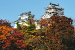越前大野城　紅葉
