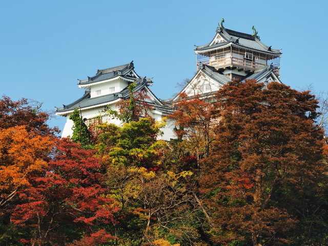 越前大野城 紅葉