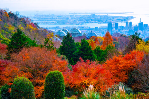 布引ハーブ園　紅葉