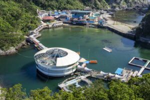下田海中水族館