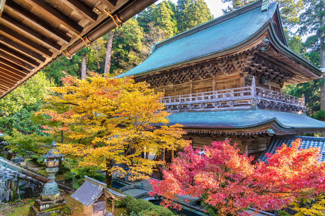 永平寺　紅葉