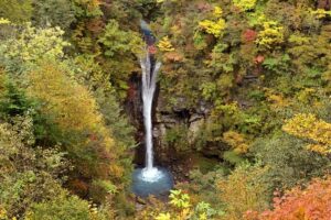 那須平成の森