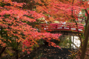鶴岡八幡宮