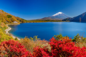本栖湖　紅葉