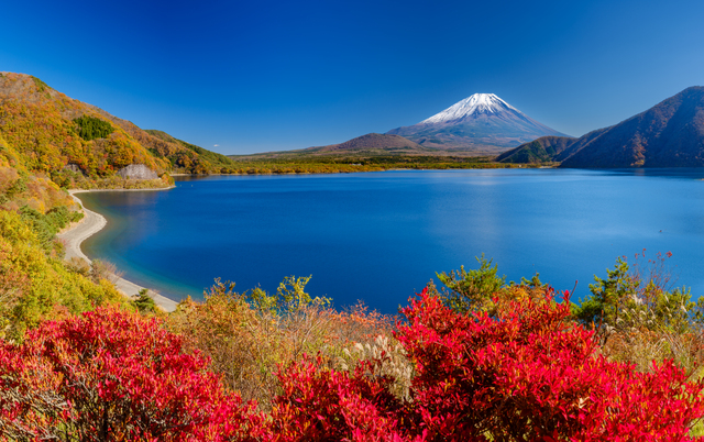 本栖湖 紅葉