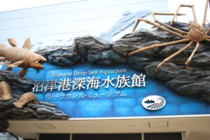 沼津港深海水族館