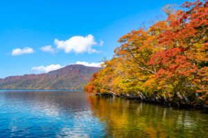 十和田湖　紅葉