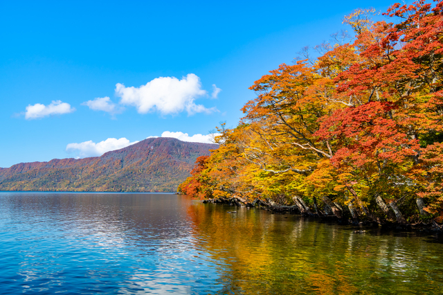 十和田湖 紅葉