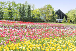 国営滝野すずらん丘陵公園