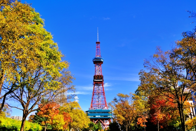 大通公園 札幌 紅葉