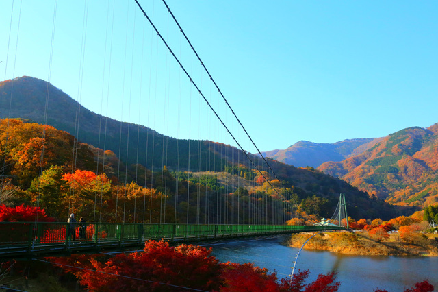 もみじ谷大吊橋