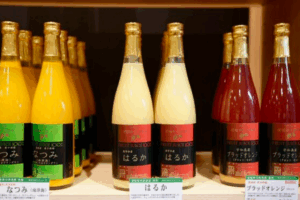 えひめ果実倶楽部みかんの木
