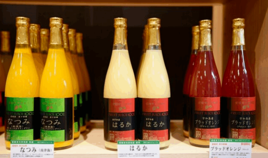 えひめ果実倶楽部みかんの木