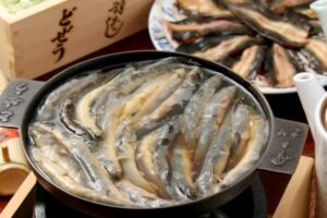 どぜう飯田屋
