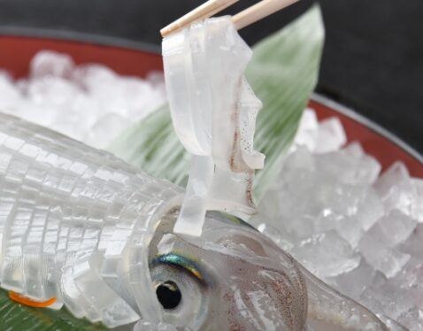 天然海水いけす海陽亭