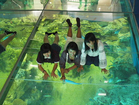 越前松島水族館