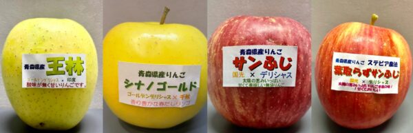 青森観光りんご園まるせん川村