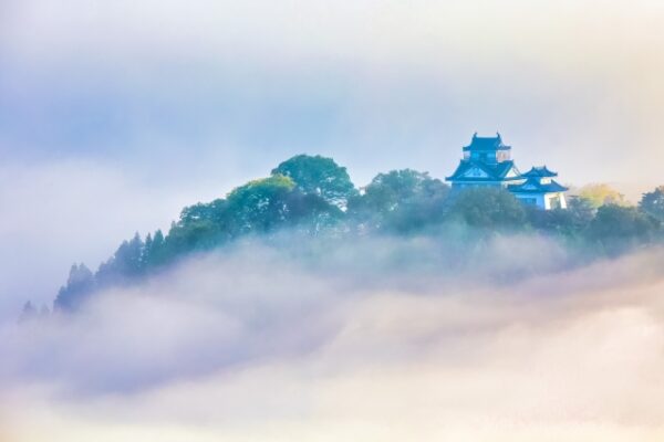 越前大野城