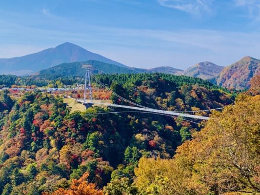 九重"夢"大吊橋