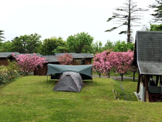 利尻町森林公園