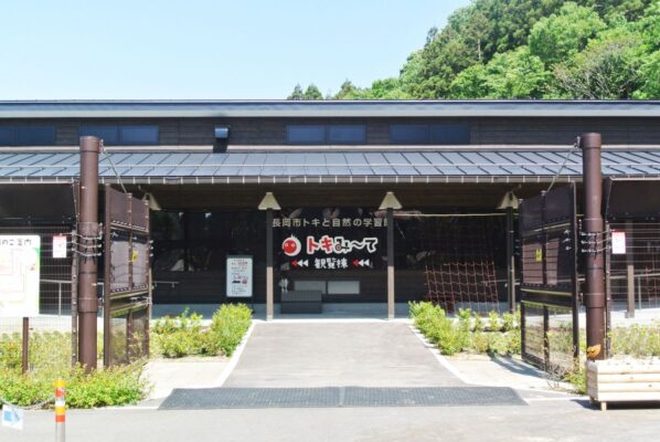 長岡市トキと自然の学習館 トキみ～て