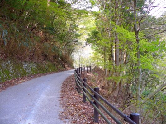 天城峠