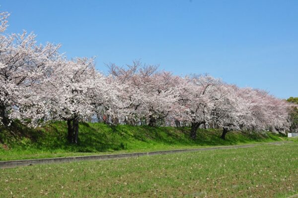 玉川の里