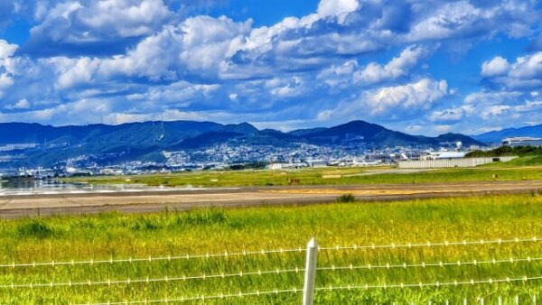 千里川土手