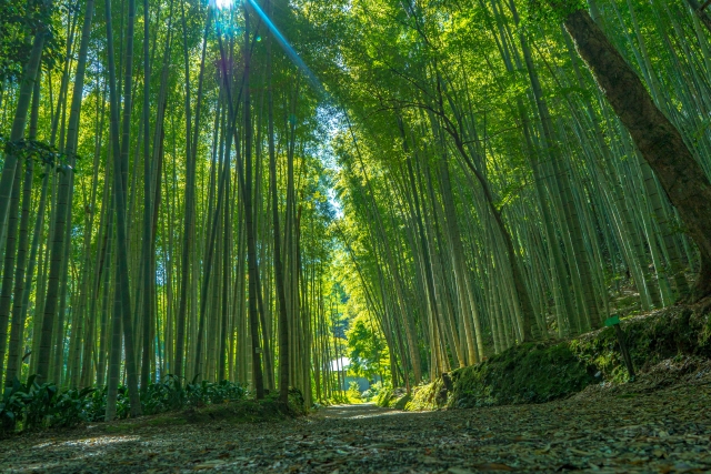 児玉美術館