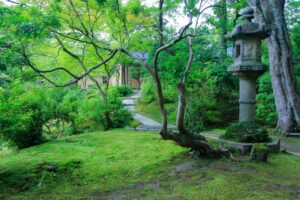 名勝依水園・寧楽美術館