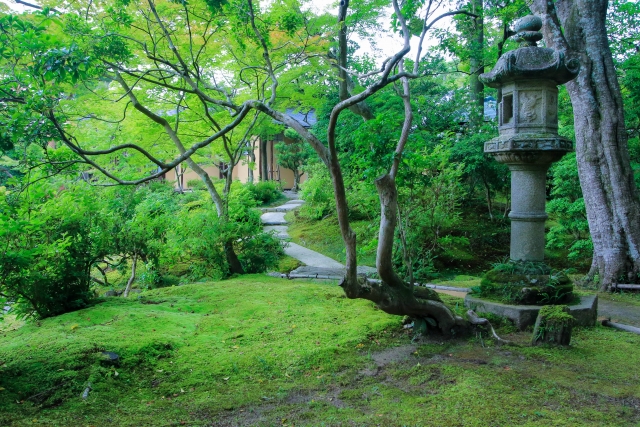 名勝依水園・寧楽美術館