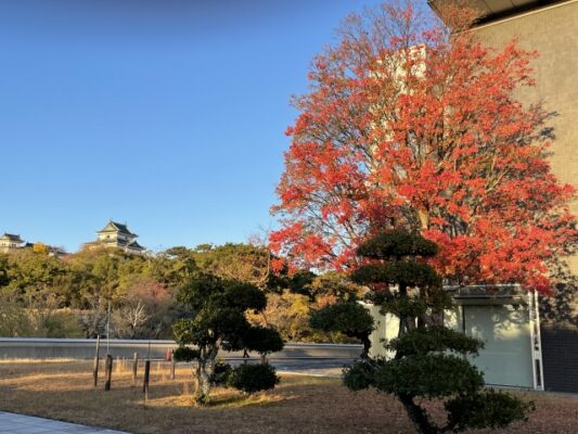 和歌山県立博物館