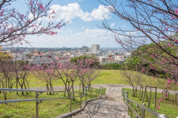 浦添大公園