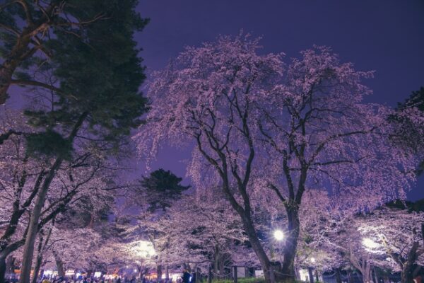 大宮公園