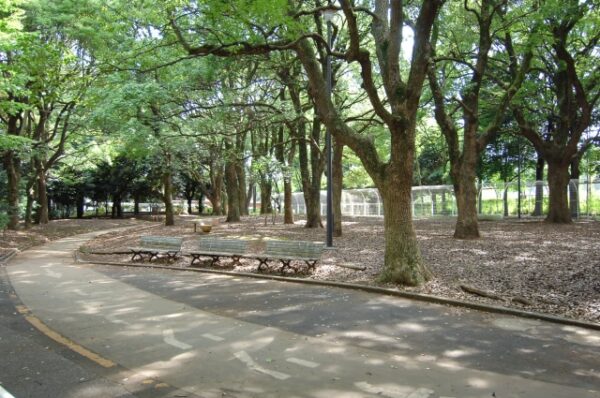 駒沢オリンピック公園