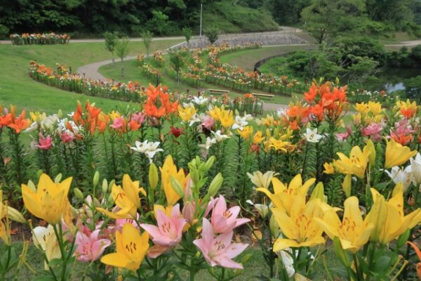 蜻蛉池公園
