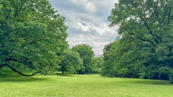 砧公園